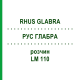 РУС ГЛАБРА (RHUS GLABRA) LM 110 розчин 10 мл - Гомеопатія ARCANA DR.SEWERIN