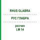 РУС ГЛАБРА (RHUS GLABRA) LM 14 розчин 10 мл - Гомеопатія ARCANA DR.SEWERIN