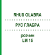 РУС ГЛАБРА (RHUS GLABRA) LM 15 розчин 10 мл - Гомеопатія ARCANA DR.SEWERIN