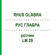 РУС ГЛАБРА (RHUS GLABRA) LM 29 розчин 10 мл - Гомеопатія ARCANA DR.SEWERIN