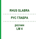 РУС ГЛАБРА (RHUS GLABRA) LM 4 розчин 10 мл - Гомеопатія ARCANA DR.SEWERIN