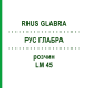 РУС ГЛАБРА (RHUS GLABRA) LM 45 розчин 10 мл - Гомеопатія ARCANA DR.SEWERIN
