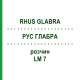 РУС ГЛАБРА (RHUS GLABRA) LM 7 розчин 10 мл - Гомеопатія ARCANA DR.SEWERIN