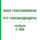 РУС ТОКСИКОДЕНДРОН (RHUS TOXICODENDRON) C 1000 глобули 0,5 г - Гомеопатія GUDJONS