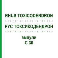 РУС ТОКСИКОДЕНДРОН (RHUS TOXICODENDRON) C 30 ампулы 8x1 мл - Гомеопатия DHU
