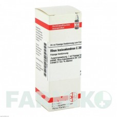 РУС ТОКСИКОДЕНДРОН (RHUS TOXICODENDRON) C 30 раствор 20 мл - Гомеопатия DHU