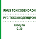 РУС ТОКСИКОДЕНДРОН (RHUS TOXICODENDRON) C 30 глобули 0,5 г - Гомеопатія GUDJONS
