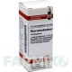 РУС ТОКСИКОДЕНДРОН (RHUS TOXICODENDRON) C 5 глобули 10 г - Гомеопатия DHU