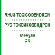 РУС ТОКСИКОДЕНДРОН (RHUS TOXICODENDRON) C 9 глобули 10 г - Гомеопатия DHU
