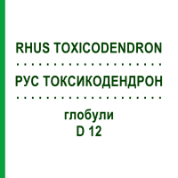 РУС ТОКСИКОДЕНДРОН (RHUS TOXICODENDRON) D 12 глобули 10 г - Гомеопатия DR.RECKEWEG