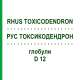 РУС ТОКСИКОДЕНДРОН (RHUS TOXICODENDRON) D 12 глобули 10 г - Гомеопатія SPAGYRA