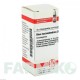 РУС ТОКСИКОДЕНДРОН (RHUS TOXICODENDRON) D 200 глобули 10 г - Гомеопатия DHU