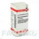 РУС ТОКСИКОДЕНДРОН (RHUS TOXICODENDRON) D 3 глобули 10 г - Гомеопатия DHU