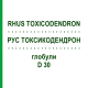 РУС ТОКСИКОДЕНДРОН (RHUS TOXICODENDRON) D 30 глобули 10 г - Гомеопатія SPAGYRA