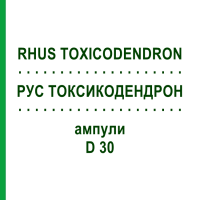 РУС ТОКСИКОДЕНДРОН (RHUS TOXICODENDRON) D 30 ампули 8x1 мл - Гомеопатія WELEDA