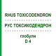 РУС ТОКСИКОДЕНДРОН (RHUS TOXICODENDRON) D 4 глобули 10 г - Гомеопатія SPAGYRA