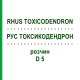РУС ТОКСИКОДЕНДРОН (RHUS TOXICODENDRON) D 5 раствор 20 мл - Гомеопатия DHU