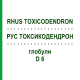 РУС ТОКСИКОДЕНДРОН (RHUS TOXICODENDRON) D 6 глобули 10 г - Гомеопатія SPAGYRA