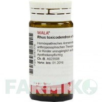 РУС ТОКСИКОДЕНДРОН (RHUS TOXICODENDRON) D 6 глобули 20 г - Гомеопатія WALA HEILMITTEL