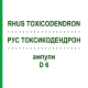 РУС ТОКСИКОДЕНДРОН (RHUS TOXICODENDRON) D 6 ампулы 8x1 мл - Гомеопатия WELEDA