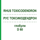РУС ТОКСИКОДЕНДРОН (RHUS TOXICODENDRON) D 60 глобули 10 г - Гомеопатия DHU