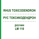 РУС ТОКСИКОДЕНДРОН (RHUS TOXICODENDRON) LM 110 розчин 10 мл - Гомеопатія ARCANA DR.SEWERIN
