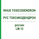 РУС ТОКСИКОДЕНДРОН (RHUS TOXICODENDRON) LM 13 розчин 10 мл - Гомеопатія ARCANA DR.SEWERIN