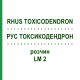 РУС ТОКСИКОДЕНДРОН (RHUS TOXICODENDRON) LM 2 розчин 10 мл - Гомеопатія ARCANA DR.SEWERIN