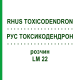 РУС ТОКСИКОДЕНДРОН (RHUS TOXICODENDRON) LM 22 розчин 10 мл - Гомеопатія ARCANA DR.SEWERIN