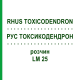 РУС ТОКСИКОДЕНДРОН (RHUS TOXICODENDRON) LM 25 розчин 10 мл - Гомеопатія ARCANA DR.SEWERIN