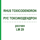 РУС ТОКСИКОДЕНДРОН (RHUS TOXICODENDRON) LM 29 розчин 10 мл - Гомеопатія ARCANA DR.SEWERIN