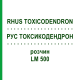 РУС ТОКСИКОДЕНДРОН (RHUS TOXICODENDRON) LM 500 розчин 10 мл - Гомеопатія ARCANA DR.SEWERIN