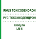 РУС ТОКСИКОДЕНДРОН (RHUS TOXICODENDRON) LM 6 глобули 10 г - Гомеопатія SPAGYRA