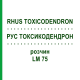 РУС ТОКСИКОДЕНДРОН (RHUS TOXICODENDRON) LM 75 розчин 10 мл - Гомеопатія ARCANA DR.SEWERIN