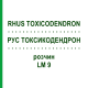 РУС ТОКСИКОДЕНДРОН (RHUS TOXICODENDRON) LM 9 розчин 10 мл - Гомеопатія ARCANA DR.SEWERIN