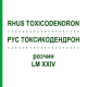 РУС ТОКСИКОДЕНДРОН (RHUS TOXICODENDRON) LM XXIV раствор 10 мл - Гомеопатия DHU