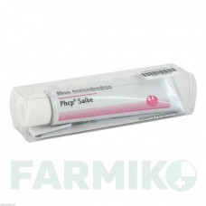 РУС ТОКСИКОДЕНДРОН (RHUS TOXICODENDRON) мазь 30 г - Гомеопатия PHONIX LABORATORIUM