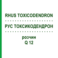 РУС ТОКСИКОДЕНДРОН (RHUS TOXICODENDRON) Q 12 раствор 15 мл - Гомеопатия GUDJONS