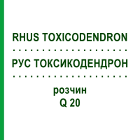 РУС ТОКСИКОДЕНДРОН (RHUS TOXICODENDRON) Q 20 раствор 15 мл - Гомеопатия GUDJONS