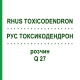 РУС ТОКСИКОДЕНДРОН (RHUS TOXICODENDRON) Q 27 розчин 15 мл - Гомеопатія GUDJONS