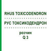 РУС ТОКСИКОДЕНДРОН (RHUS TOXICODENDRON) Q 3 раствор 15 мл - Гомеопатия GUDJONS