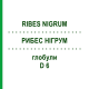 РИБЕС НІГРУМ (RIBES NIGRUM) D 6 глобули 10 г - Гомеопатія DHU