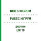 РИБЕС НІГРУМ (RIBES NIGRUM) LM 10 розчин 10 мл - Гомеопатія ARCANA DR.SEWERIN