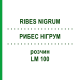РИБЕС НІГРУМ (RIBES NIGRUM) LM 100 розчин 10 мл - Гомеопатія ARCANA DR.SEWERIN