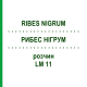 РИБЕС НІГРУМ (RIBES NIGRUM) LM 11 розчин 10 мл - Гомеопатія ARCANA DR.SEWERIN