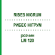 РИБЕС НІГРУМ (RIBES NIGRUM) LM 120 розчин 10 мл - Гомеопатія ARCANA DR.SEWERIN