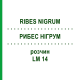 РИБЕС НІГРУМ (RIBES NIGRUM) LM 14 розчин 10 мл - Гомеопатія ARCANA DR.SEWERIN
