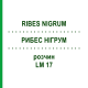 РИБЕС НІГРУМ (RIBES NIGRUM) LM 17 розчин 10 мл - Гомеопатія ARCANA DR.SEWERIN
