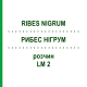 РИБЕС НІГРУМ (RIBES NIGRUM) LM 2 розчин 10 мл - Гомеопатія ARCANA DR.SEWERIN