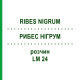РИБЕС НІГРУМ (RIBES NIGRUM) LM 24 розчин 10 мл - Гомеопатія ARCANA DR.SEWERIN